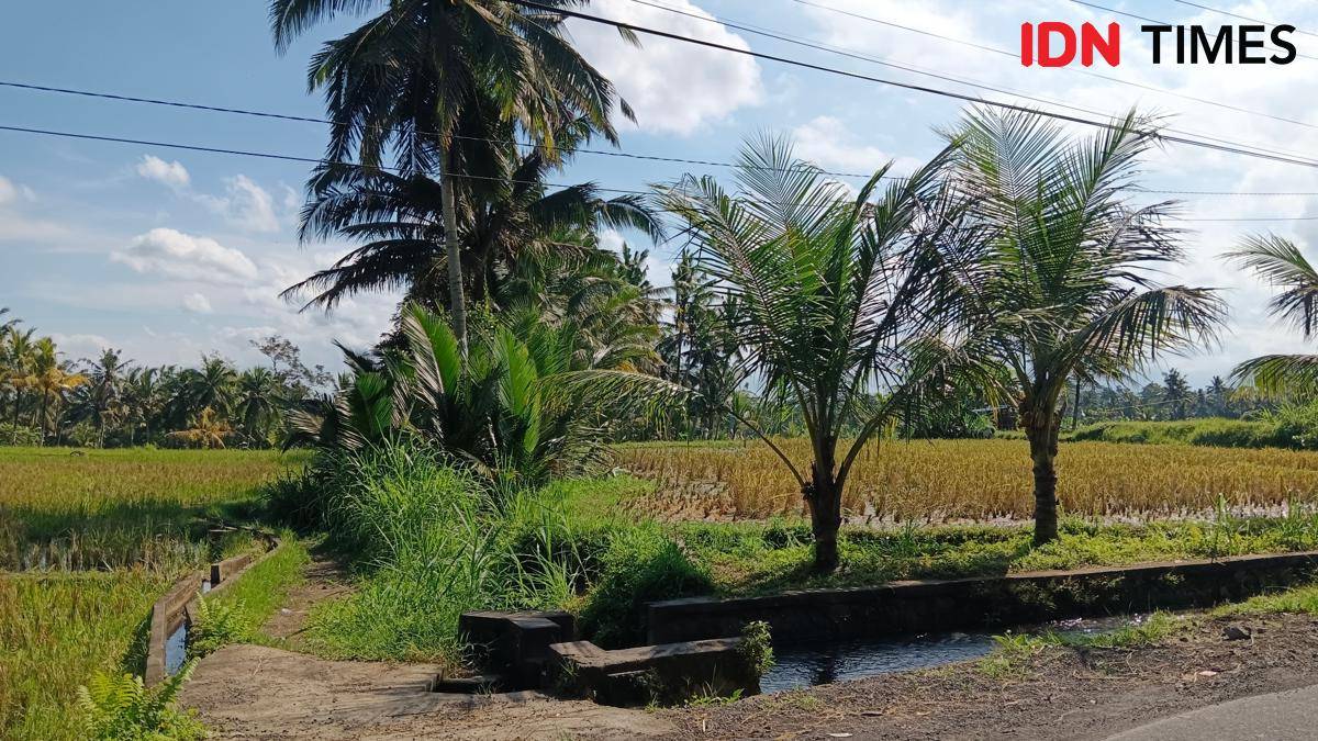 Desa Bali