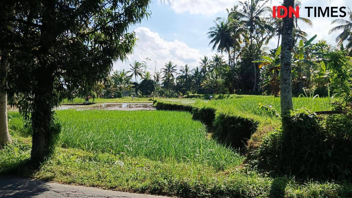 Desa Bali
