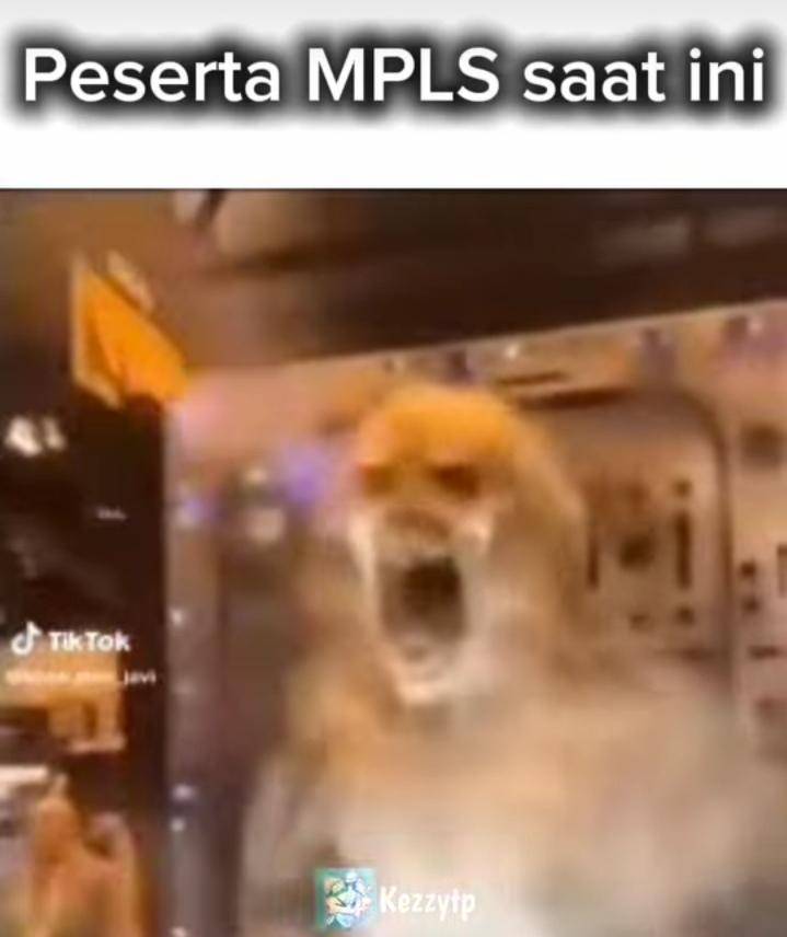 meme MPLS (instagram.com/bapak.meme)