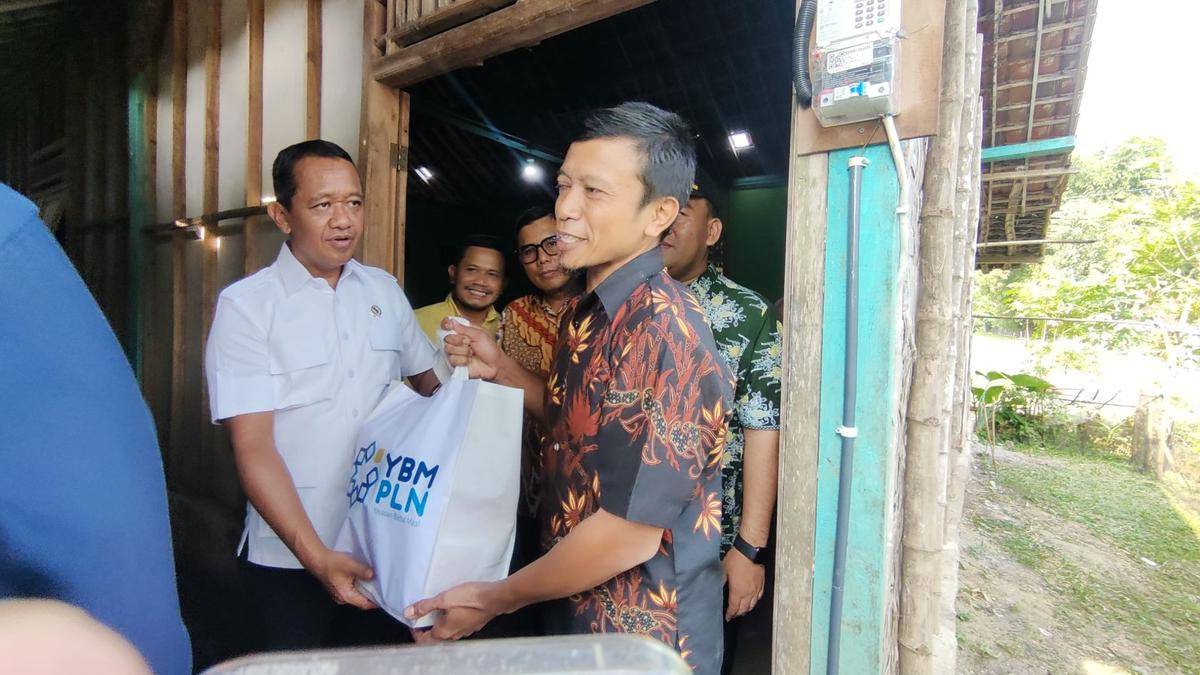 Menteri esdm, pln, listrik