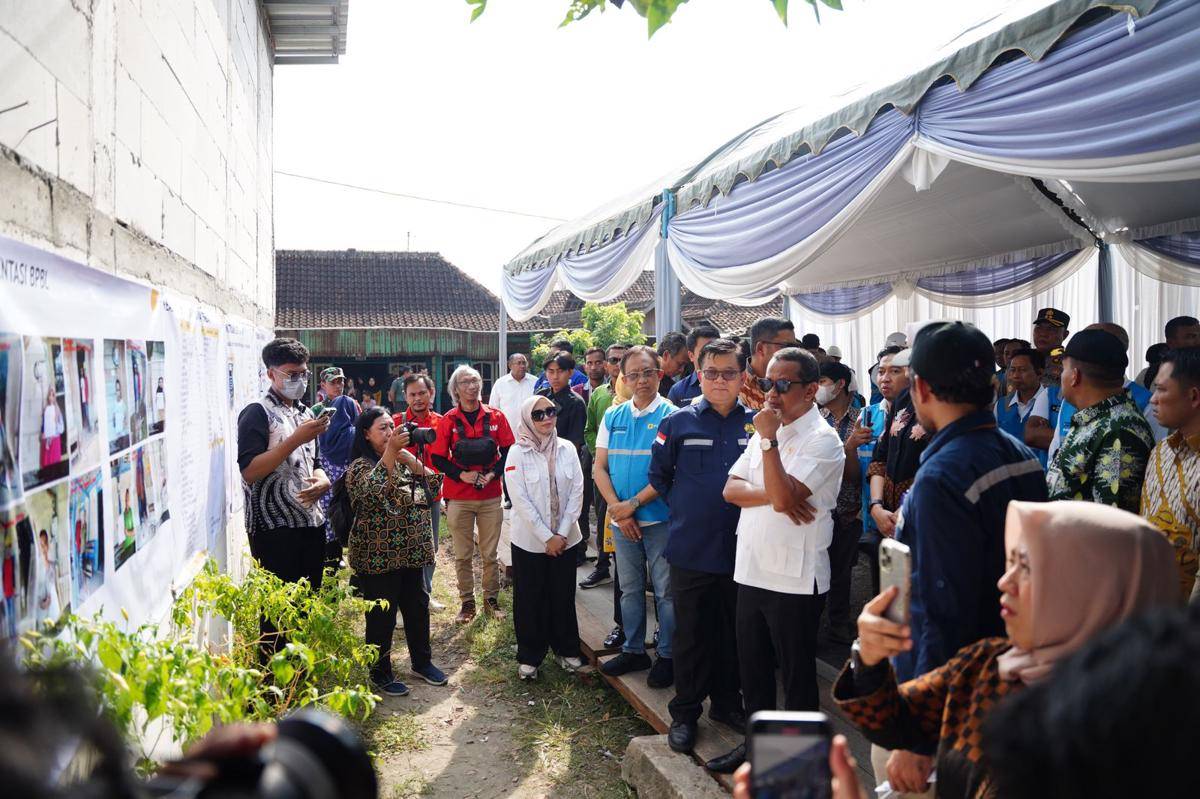 Menteri esdm, pln, listrik