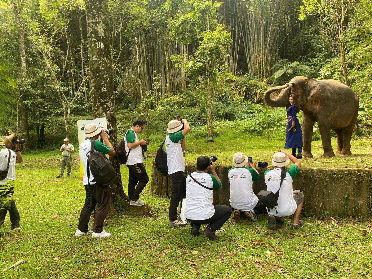 Lomba foto internasionalsatwa.jpg