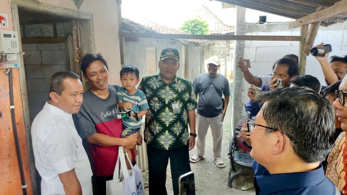 Menteri esdm, pln, listrik