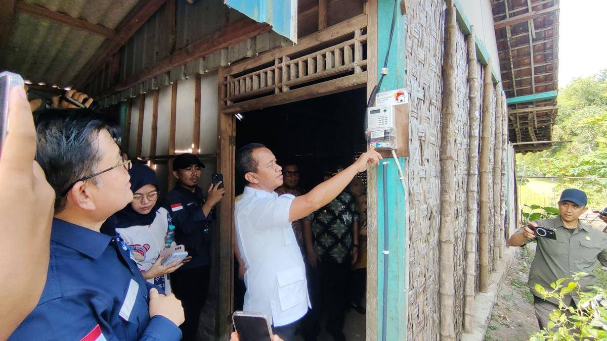 Menteri esdm, pln, listrik
