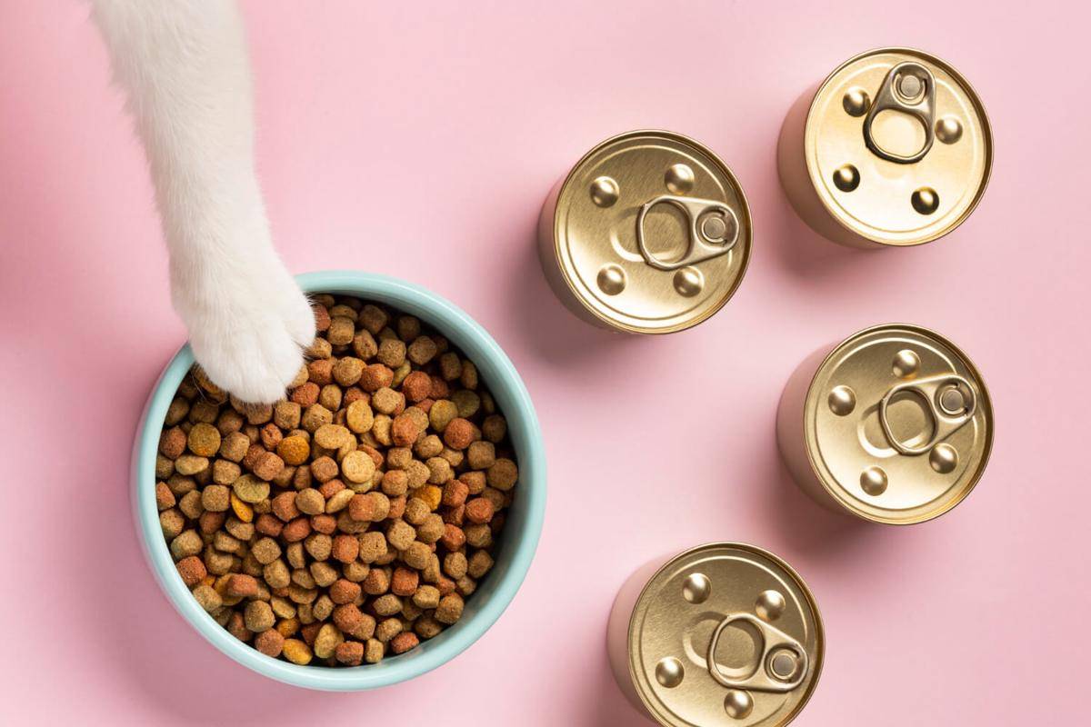 ilustrasi cat food (freepik.com/freepik)