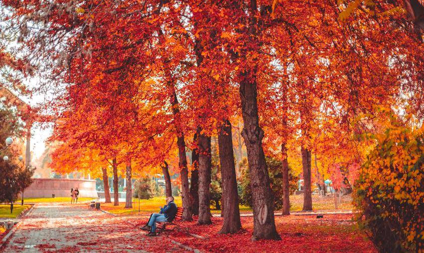 Potret suasana musim gugur di Bishkek, Kyrgyzstan (pexels.com/Collab Media)