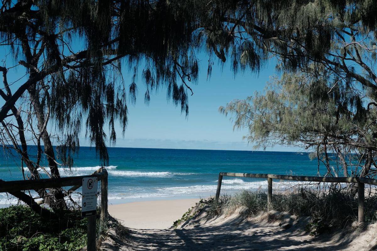 ilustrasi Noosa Main Beach (pexels.com/Junchen Zhou)