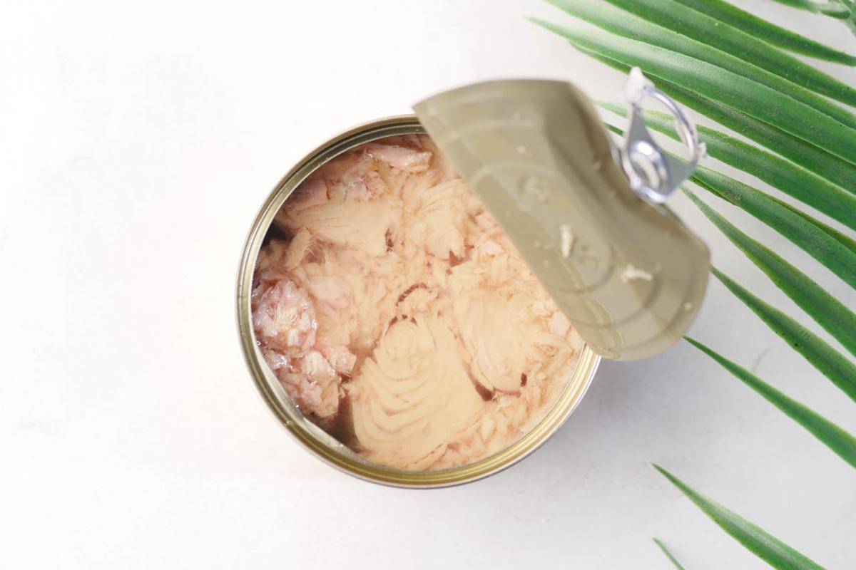 Ilustrasi tuna kaleng (pexels.com/Towfiqu barbhuiya)