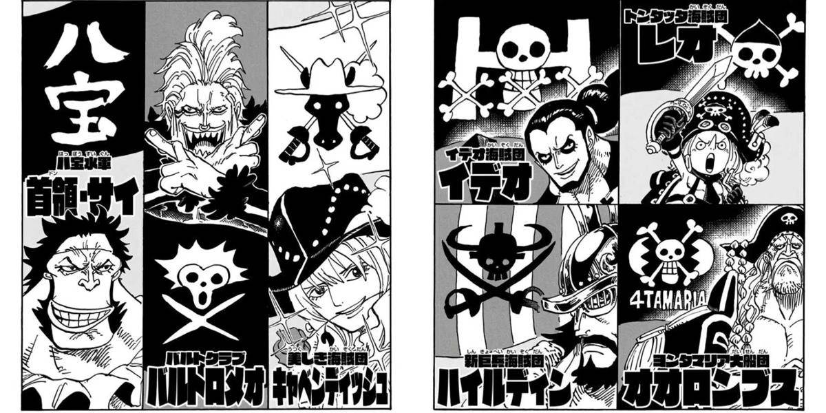 Halaman Sampul One Piece Bab 864-919 (Dok. Shueisha, Eiichiro Oda/One Piece)