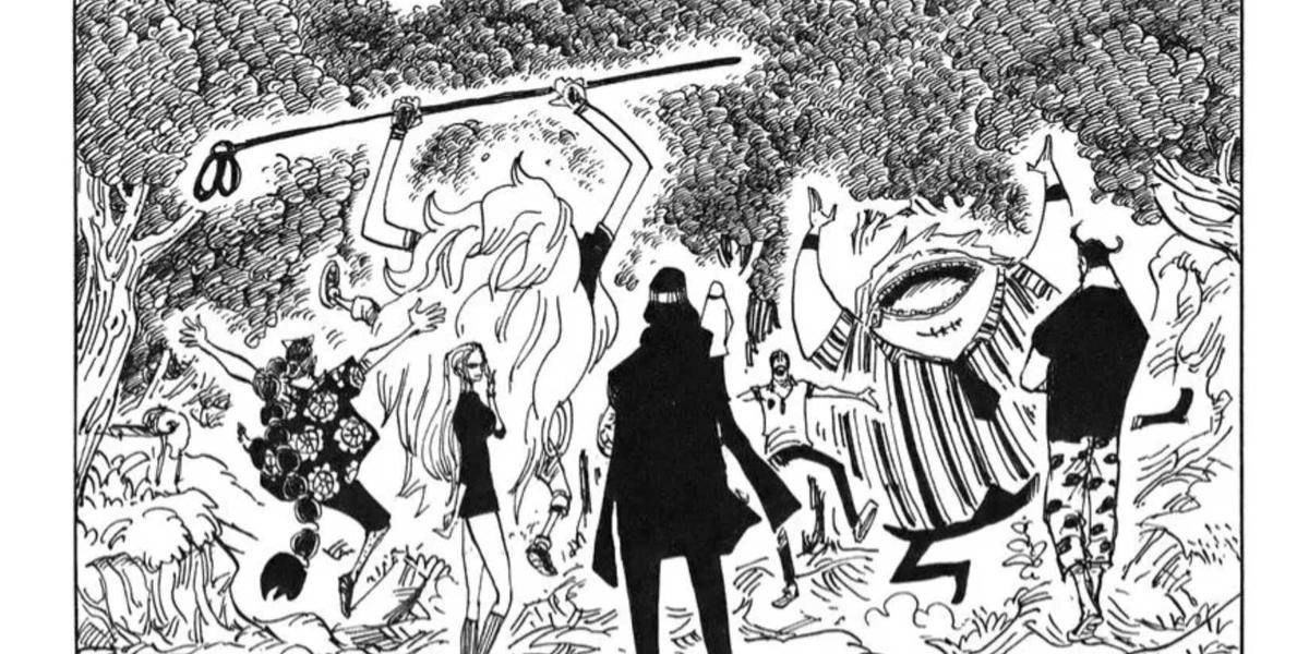 Halaman Sampul One Piece Bab 491-528) (Dok. Shueisha, Eiichiro Oda/One Piece)