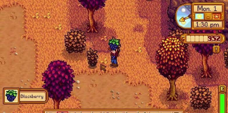 Foraging di game Stardew Valley (dok.ConcernedApe/Stardew Valley)