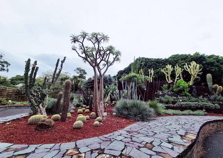 Cactus and Succulent Garden, Sydney (google.com/maps/Juliana)