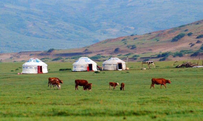 Yurt, Kyrgyzstan