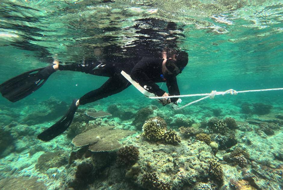 LAUT YKAN.jpg