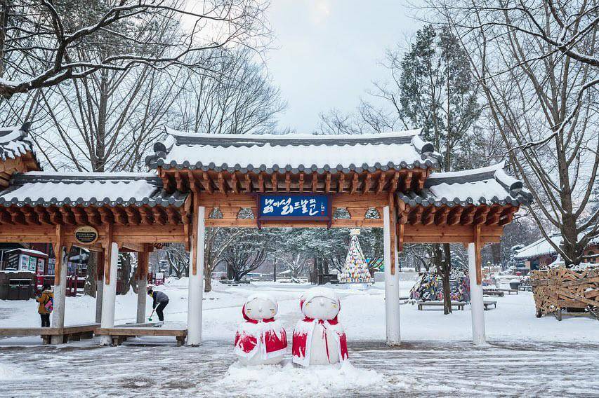 Potret Nami Island di Chuncheon, Korea Selatan (instagram.com/namiisland_naminara)