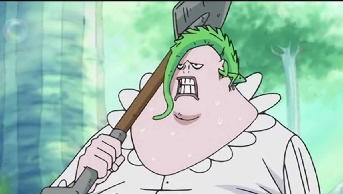 Coribou one piece.png