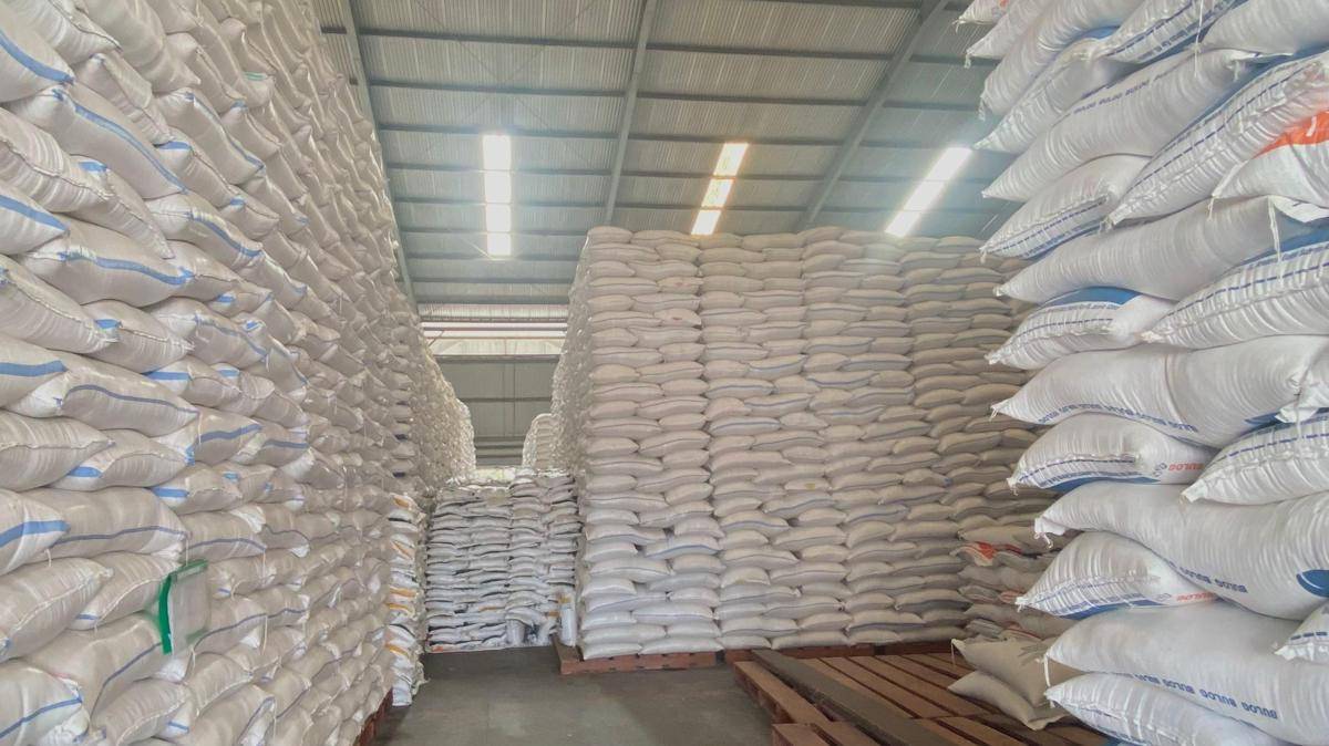 Pemkab Tulang Bawang Salurkan 500 Ton Beras (Dok/Humas Pemkab Tulang Bawang)