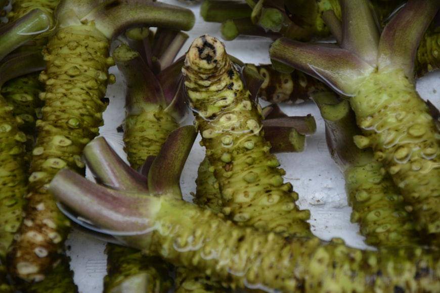 tanaman wasabi (unsplash.com/Beth Macdonald)