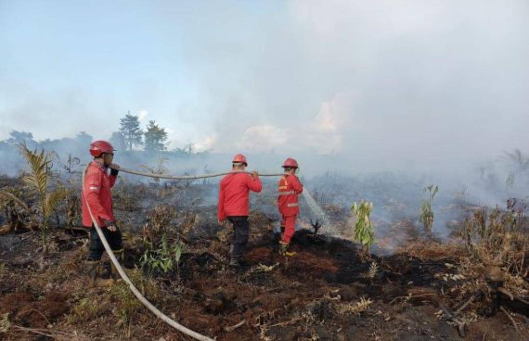 Banyak Lahan Gambut, 14 Kecamatan di Banyuasin Rawan Karhutbunlah