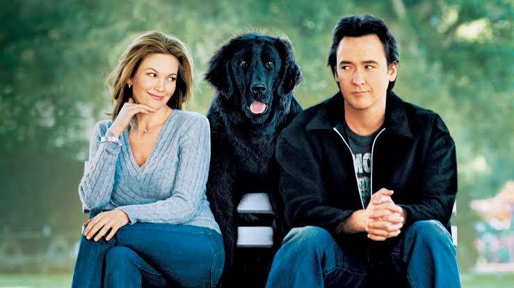 potret cuplikan Must Love Dogs