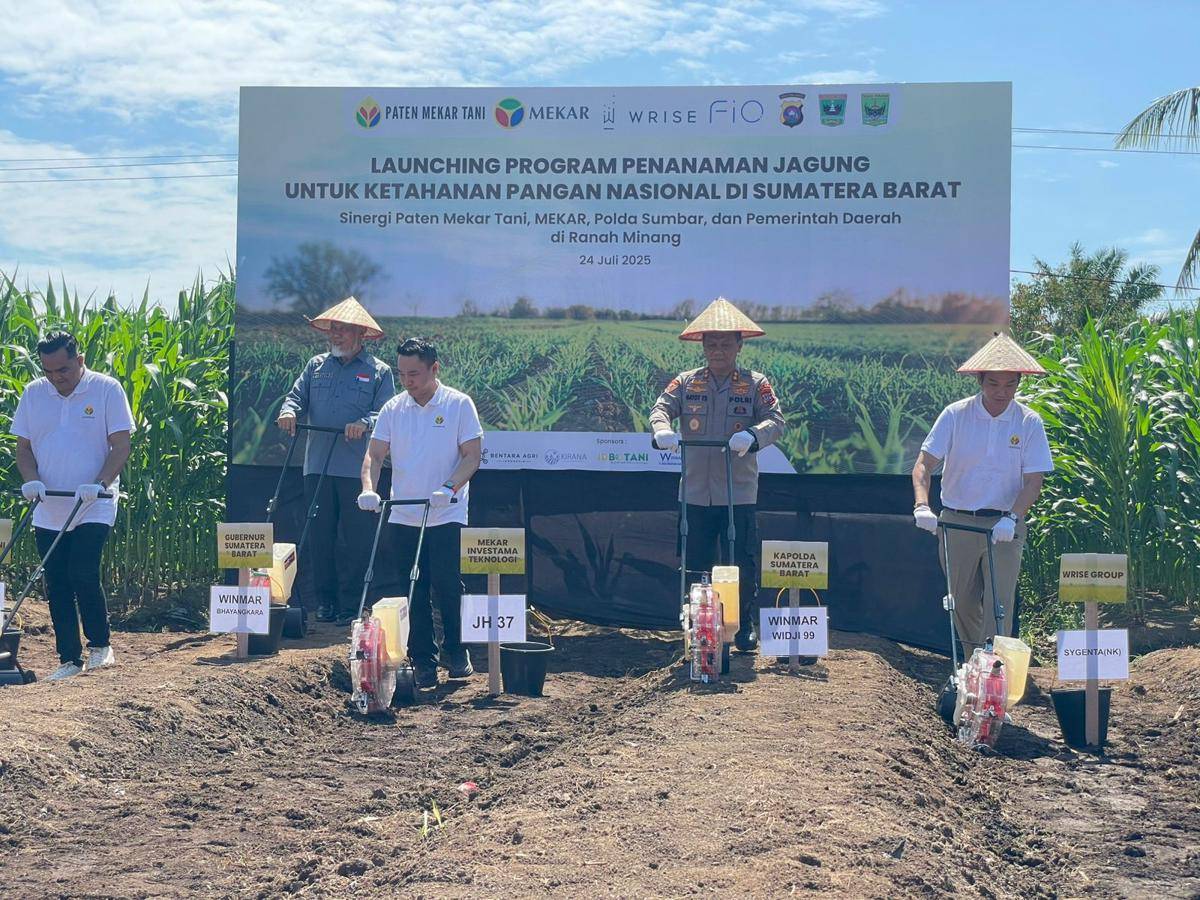 Sumbar Kekurangan Jagung, Paten Mekar Tani Satukan Investor dan Pemda