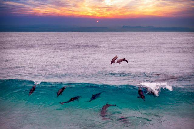 laut di Pulau Fraser, Australia (unsplash.com/Nick Dunn)