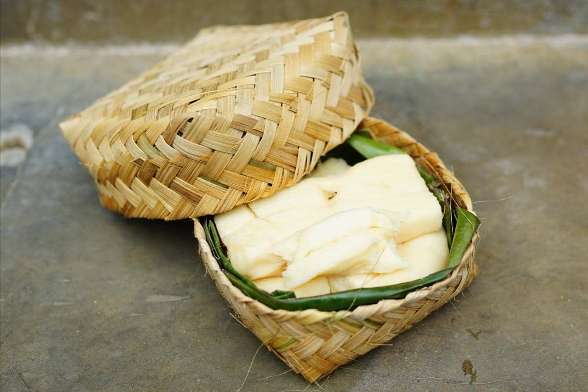 Potret tape singkong 