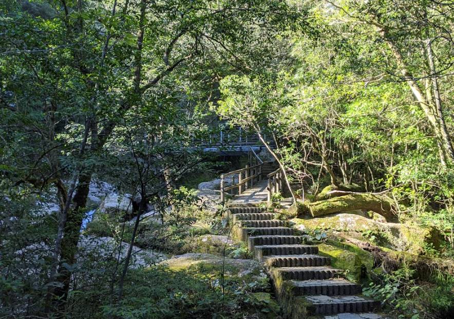 potret Pulau Yakushima (unsplash.com/Ryuta F.)