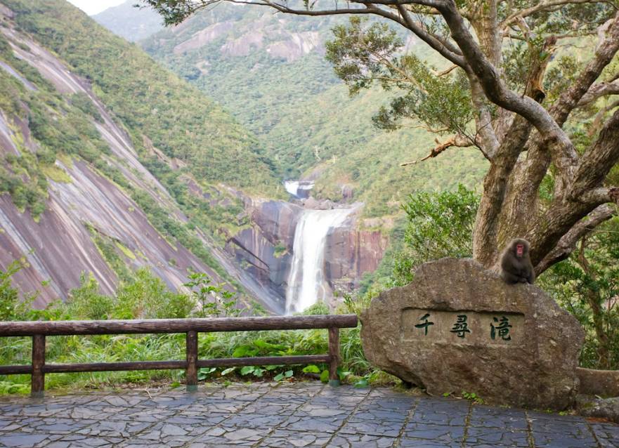 potret Pulau Yakushima (unsplash.com/Erik)