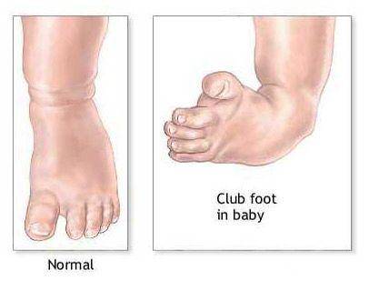 WhatsApp Image 2025-07-24 at 09.11.05.jpeg