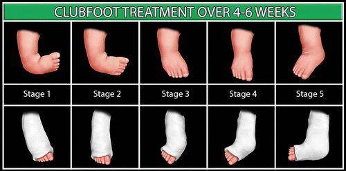 WhatsApp Image 2025-07-24 at 09.11.05 (1).jpeg