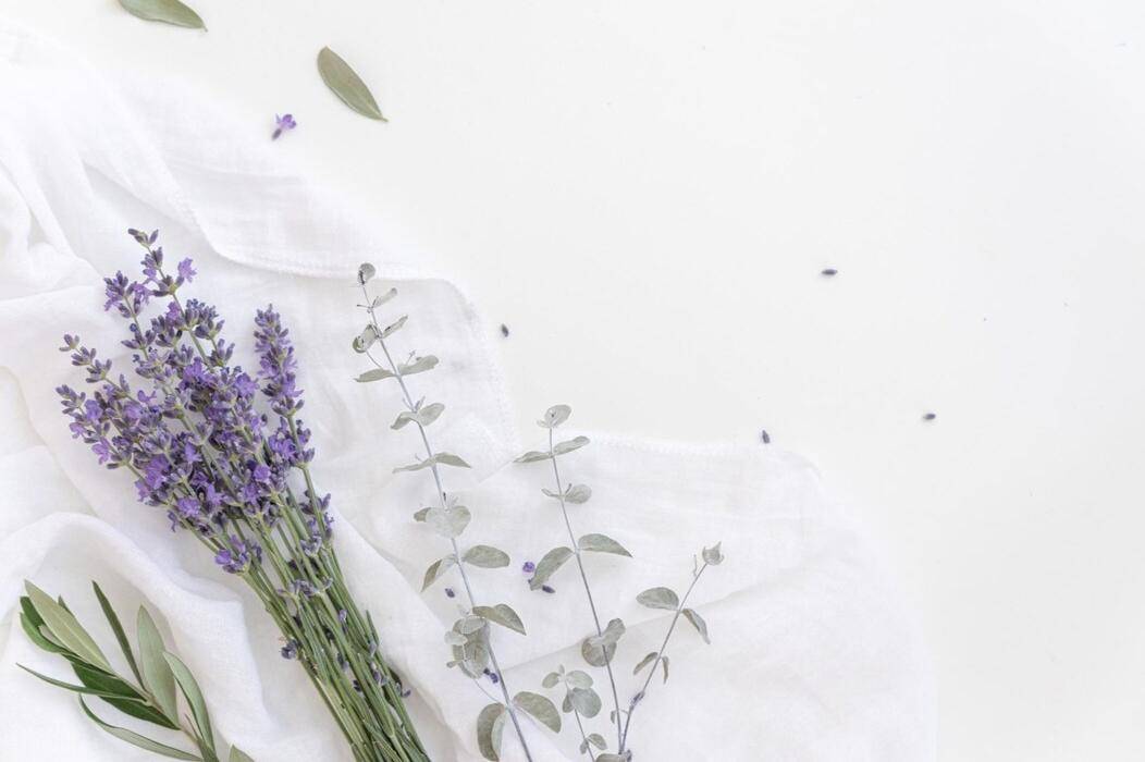 Bunga Lavender (freepik.com/kotkoa)