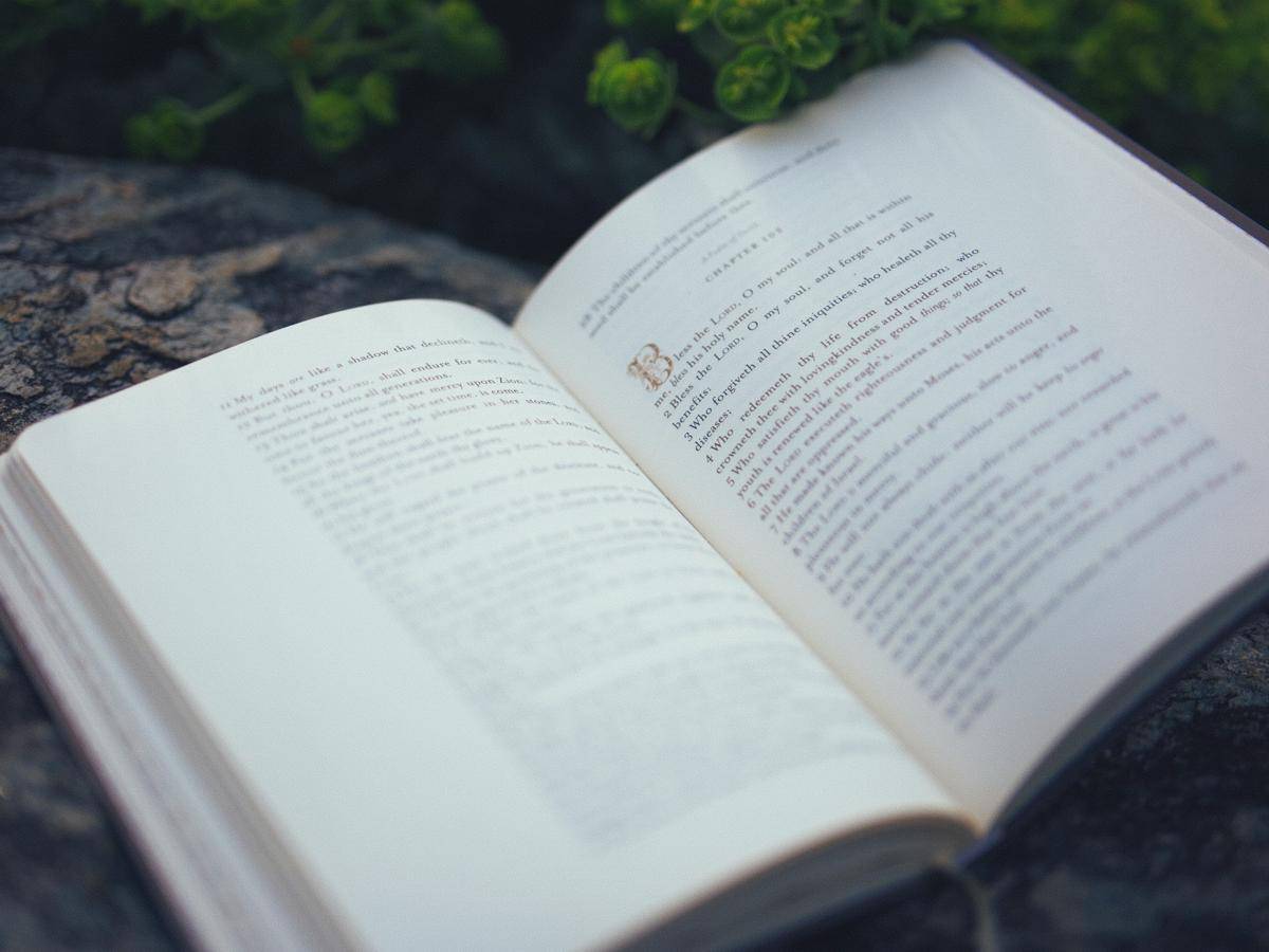 Ilustrasi buku. (Dok. Unsplash/Aaron Burden)