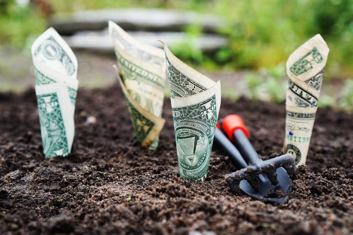 ilustrasi investasi (pixabay.com/TheDigitalWay)