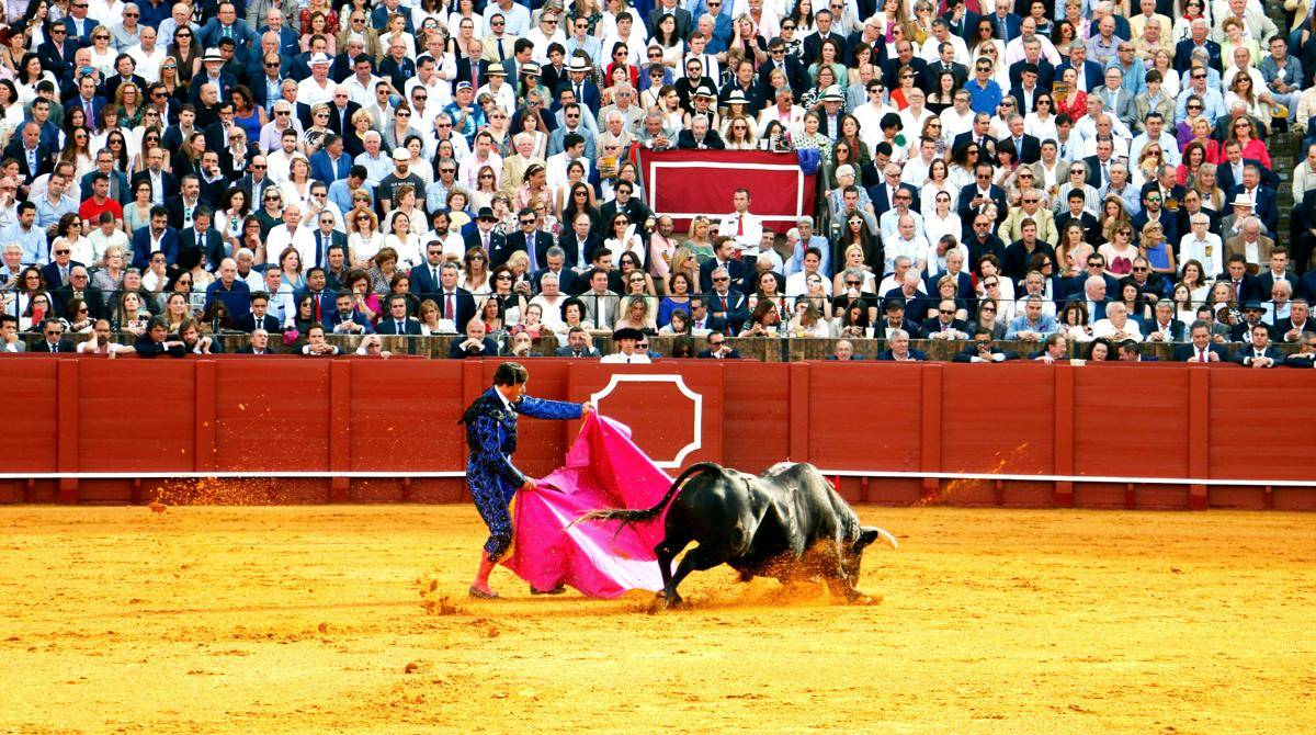 pertunjukan matador melawan banteng (pexels.com/Marko Obrvan)