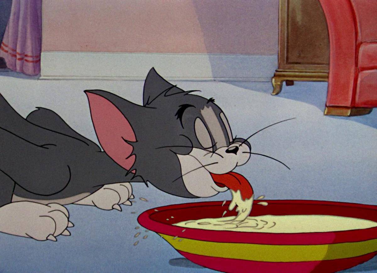 Tom minum susu - tom and jerry.jpg