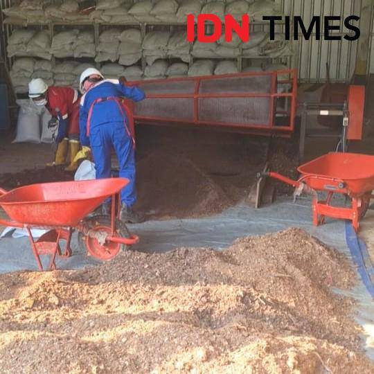 Limbah kayu diolah menjadi pupuk kompos di Segregation Plant PT Vale Indonesia, Jumat (25/7/2025). IDN Times/Irwan Idris