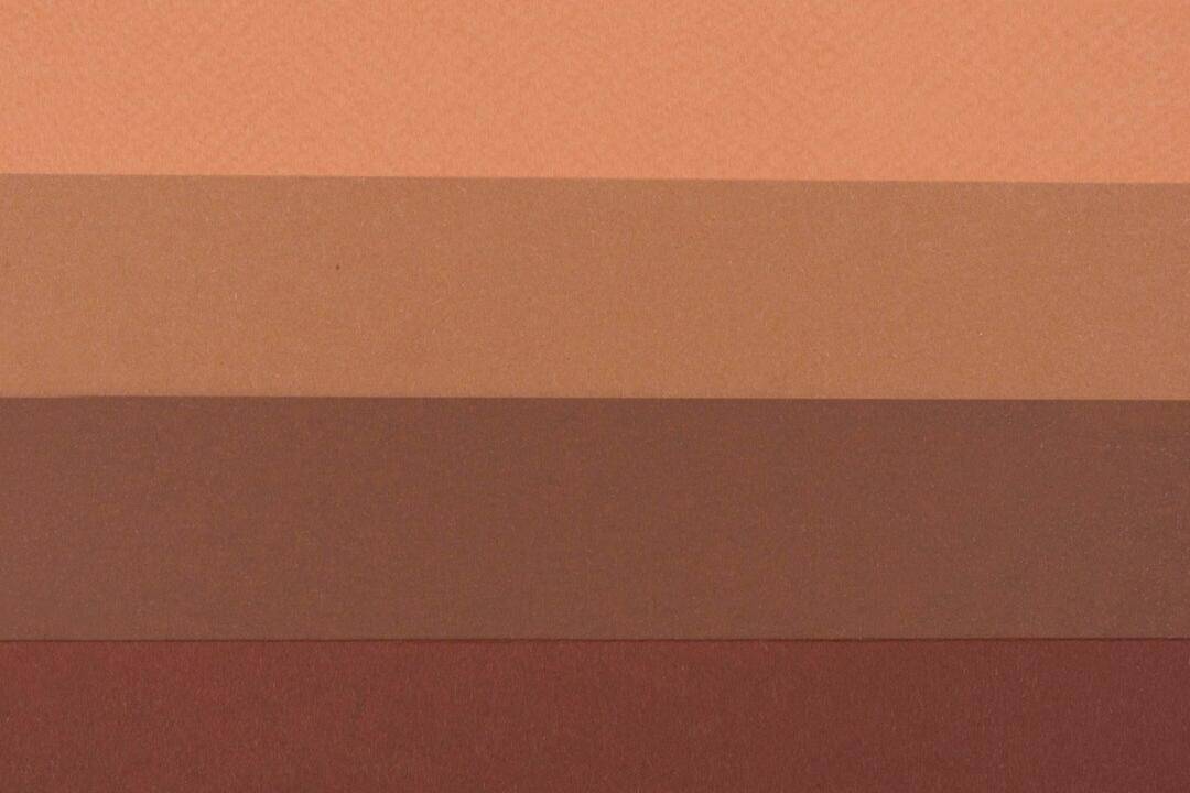 Warna Earthy Tone (freepik.com/freepik)
