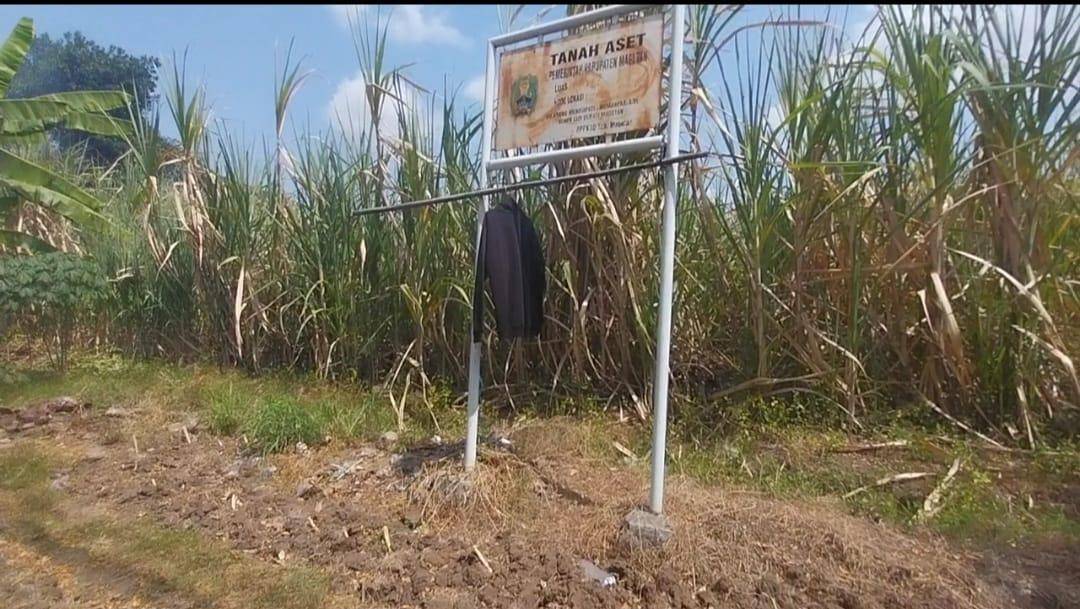 Calon Sekolah Rakyat Magetan berupa lahan kebun tebu seluas 8 hektar di belakang Polsek Karangrejo. IDN Times/Riyanto.