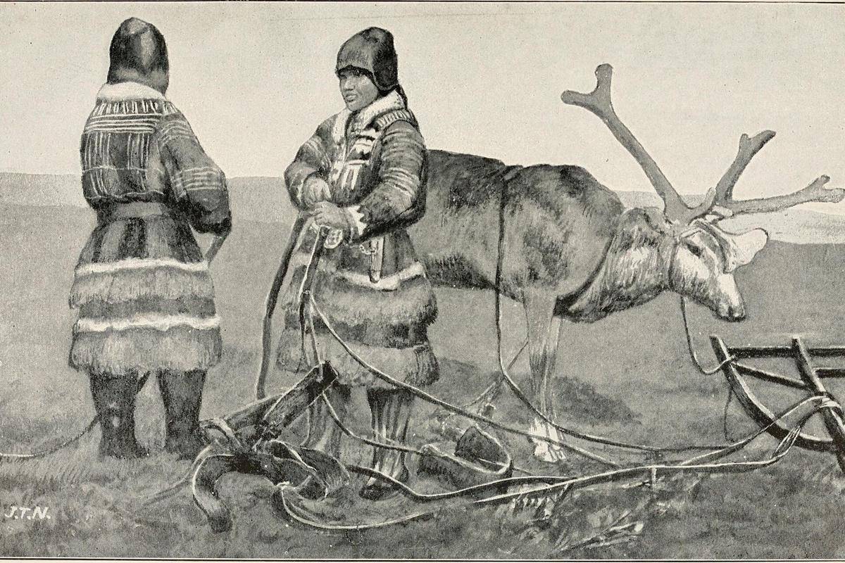 Ilustrasi ekspedisi di Pulau Kolguyev, Arktik Rusia tahun 1895 (commons.wikimedia.org)