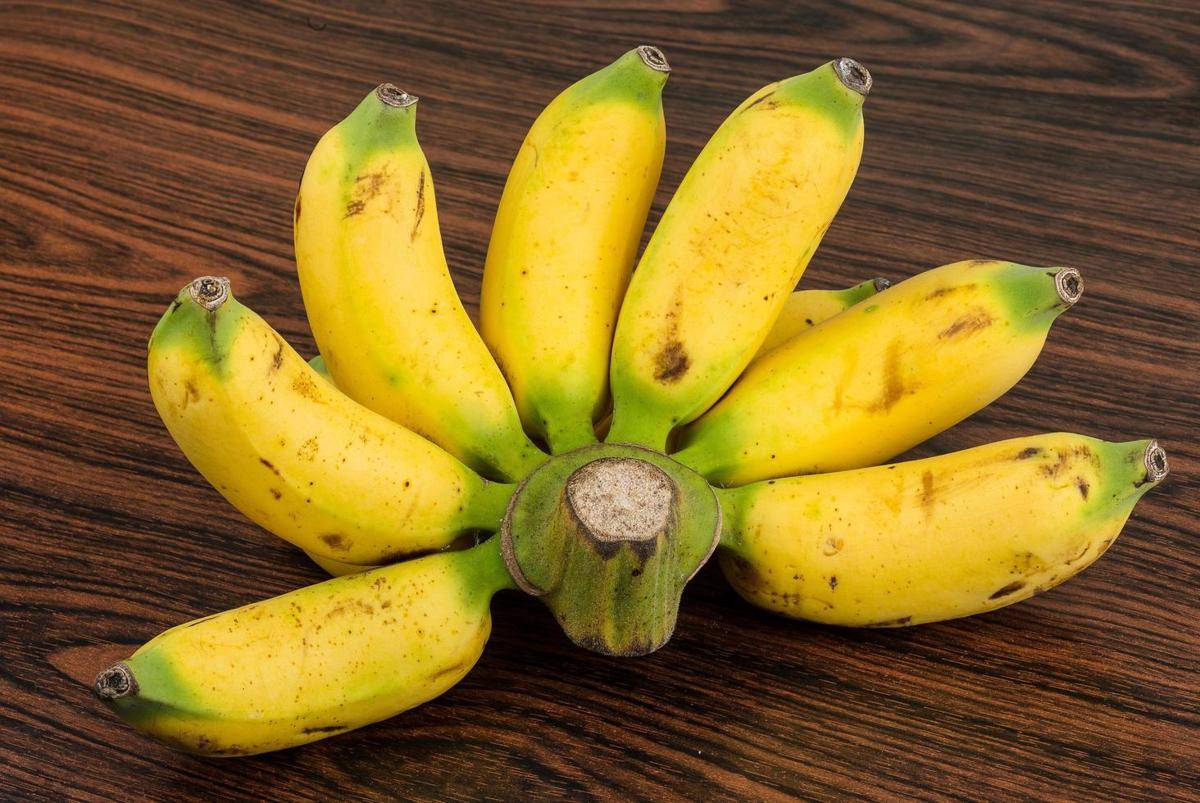 ilustrasi pisang (vecteezy.com/Andrey Starostin)