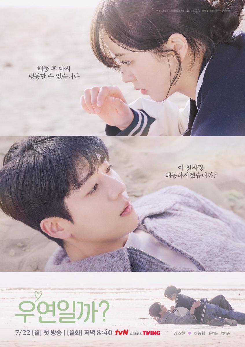 Poster Serendipity's Embrace (dok.tvN/Serendipity's Embrace)