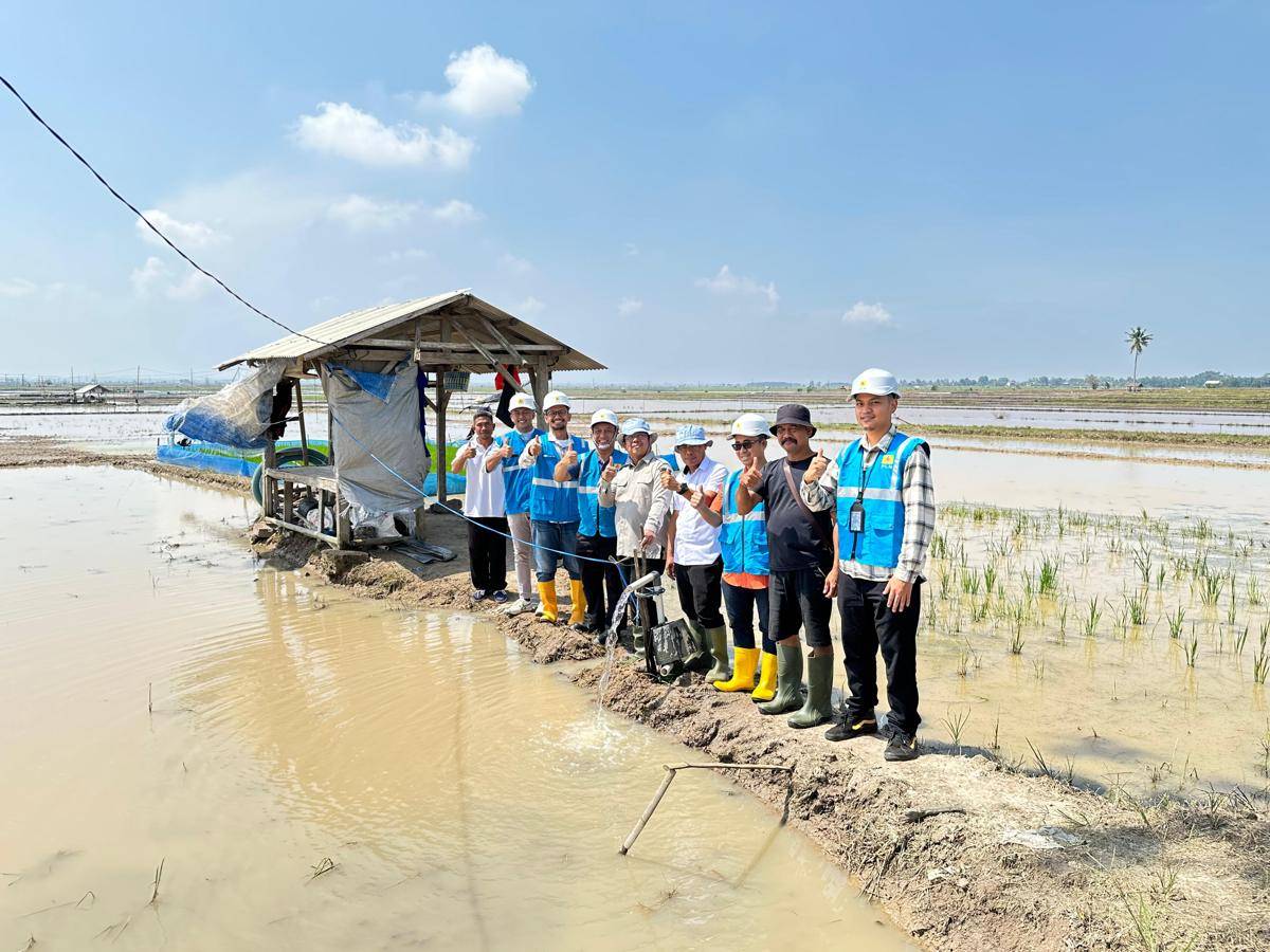 Smart Farming Digagas PLN Dorong Transformasi Pertanian Lampung