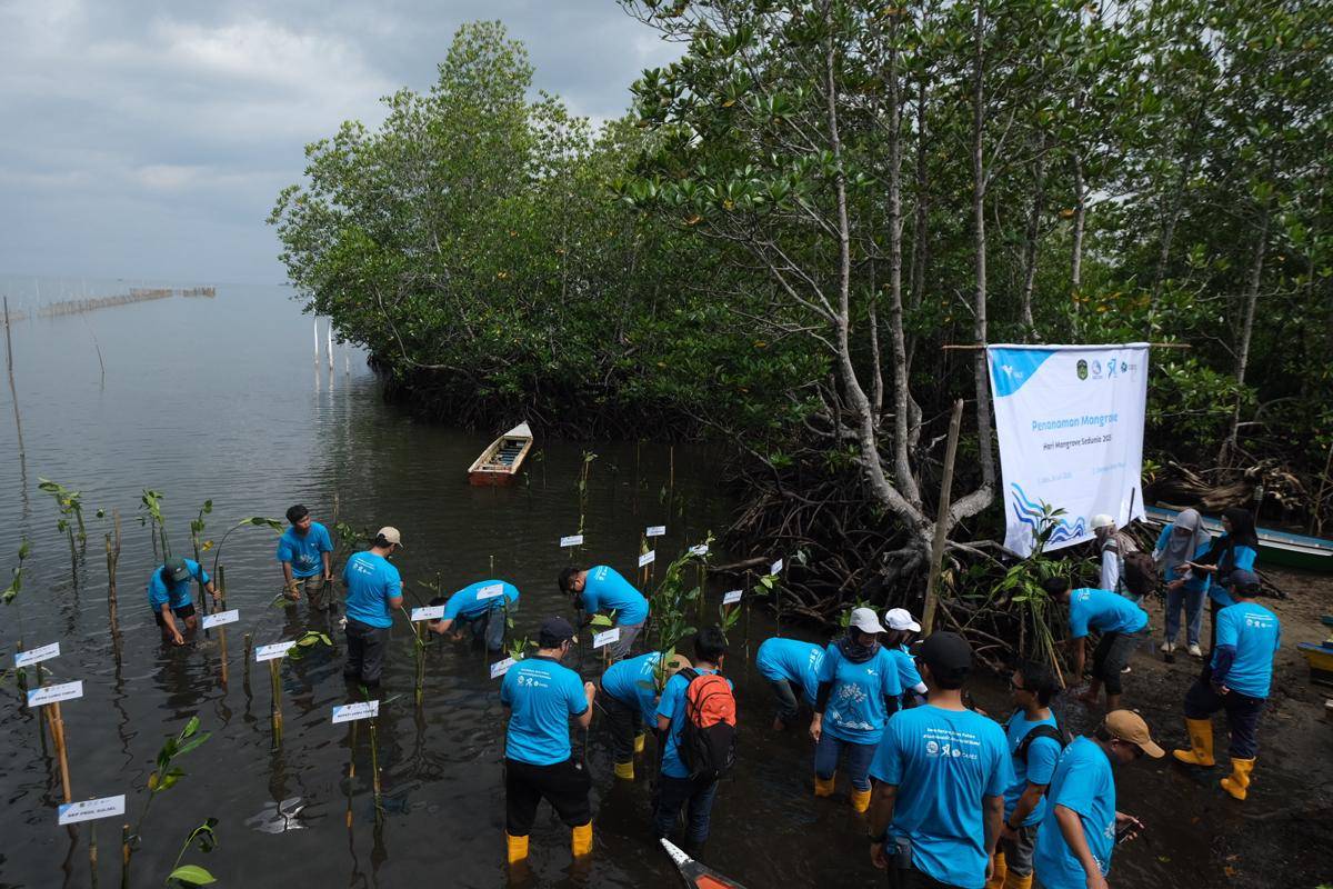 PT Vale Indonesia Tbk melaksanakan penanaman mangrove di pesisir Pasi-Pasi, Malili, Luwu Timur, Sabtu (26/7/2025). IDN Times/PT Vale