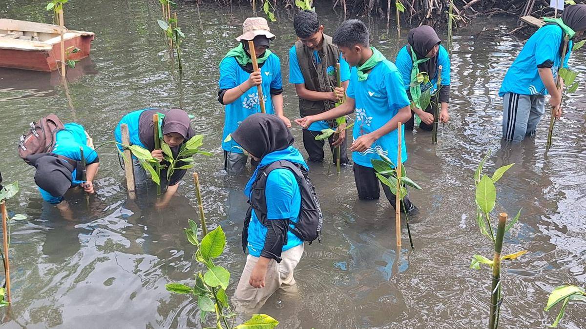 Kelompok Siswa Pencinta Alam (SISPALA) SMA/SMK Kabupaten Luwu Timur mengikuti penanaman mangrove di pesisir Pasi-Pasi, Malili, Sabtu (26/7/2025). IDN Times/Irwan Idris