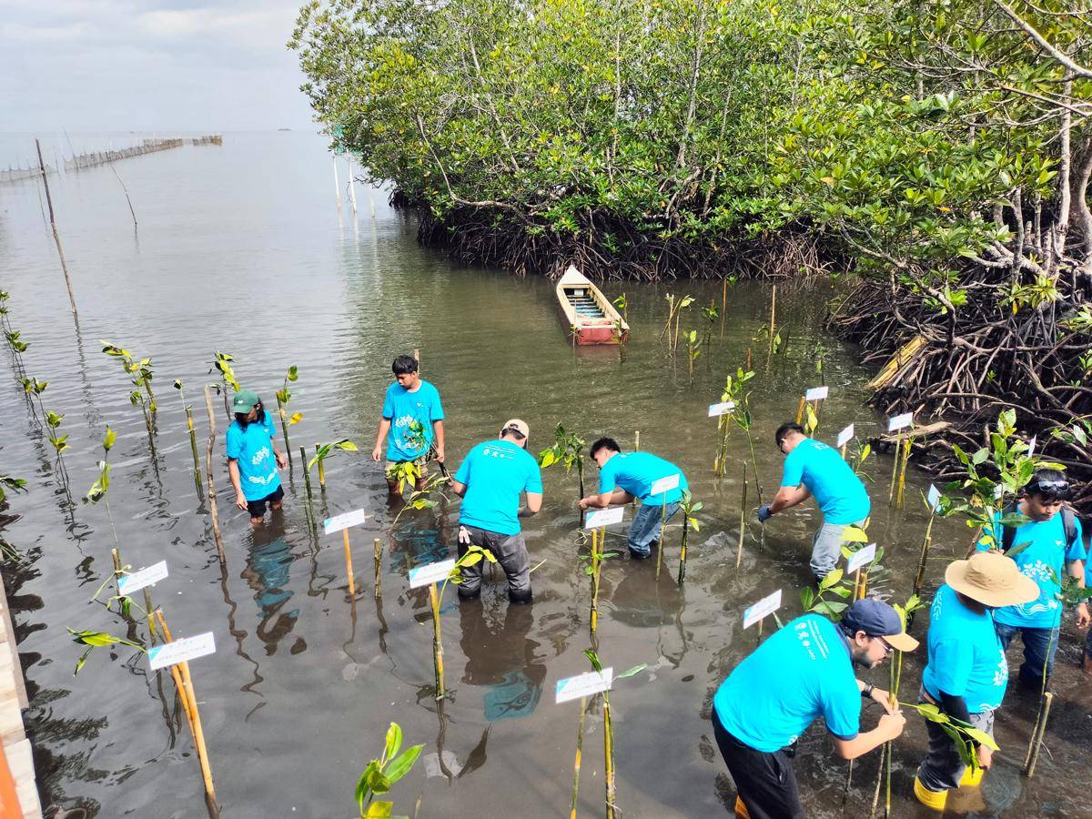 700 Bibit Mangrove untuk Pasi-Pasi demi Keberlanjutan Malili