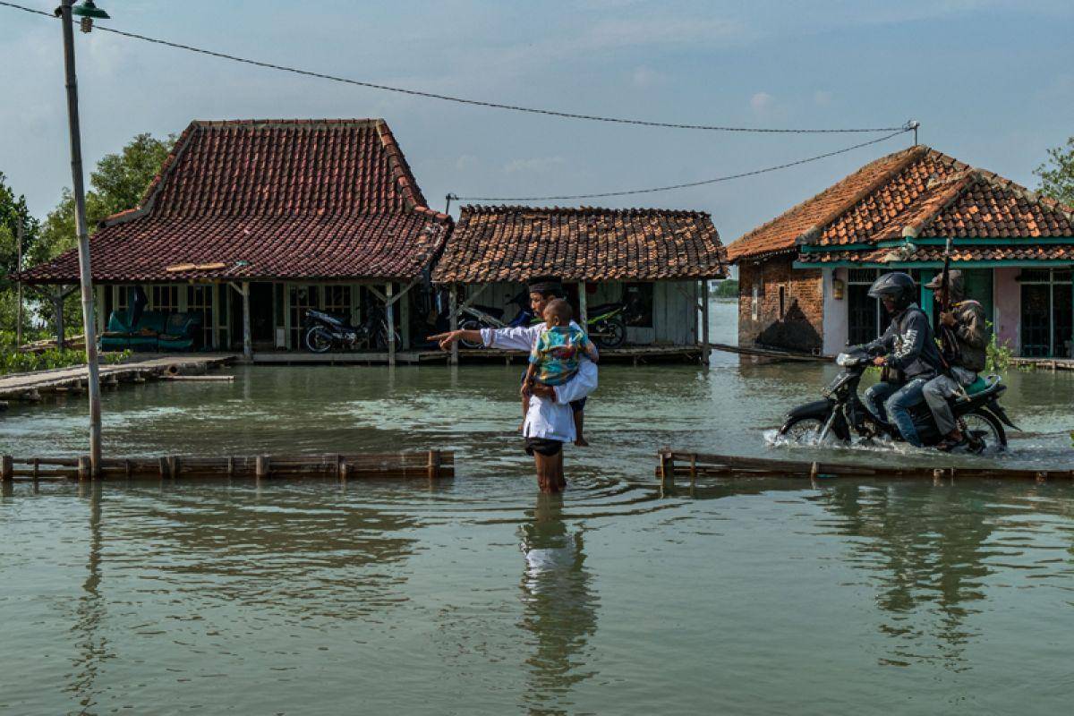 Banjir rob