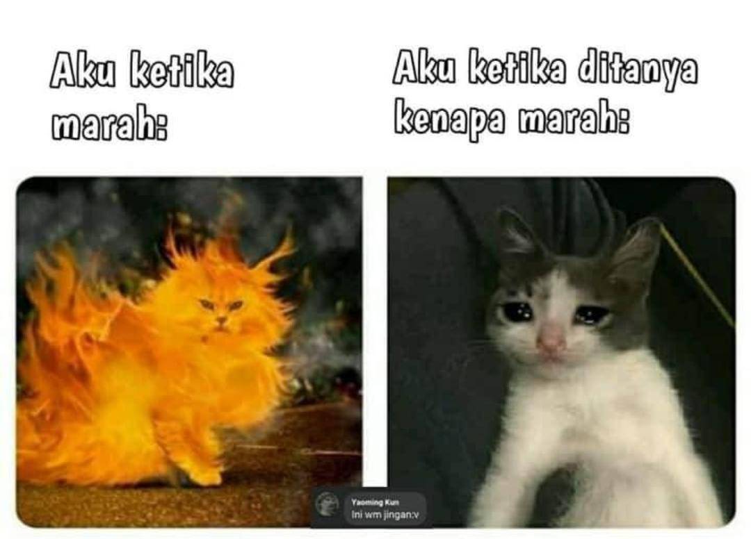 Meme marah-marah