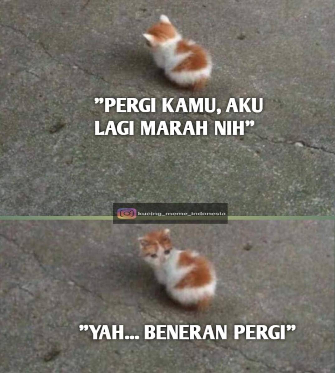 Meme marah-marah