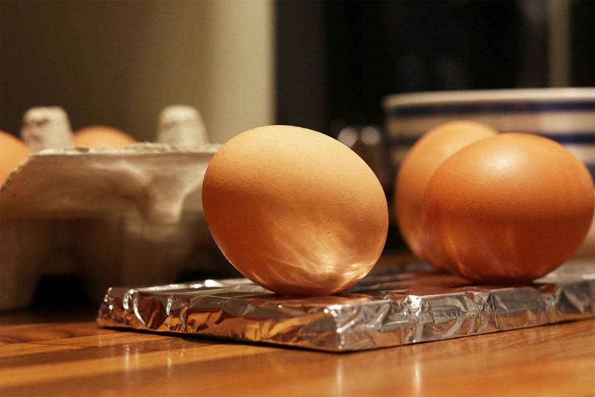 ilustrasi telur ayam segar